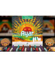 Предзаказ: Ayar: Children of the Sun
