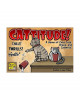 CATtitude!