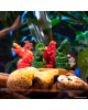 Jurassic World: The Legacy of Isla Nublar KS 