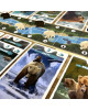 Katmai: The Bears of Brooks River