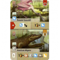 Forest Shuffle: Roseate Spoonbill / American Alligator Promo Card