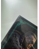 Уценка: Orlog: Assassin's Creed Valhalla Dice Game
